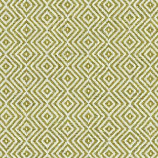 Custom Echo Lime, 100% UV Treated Polyester Area Rug
