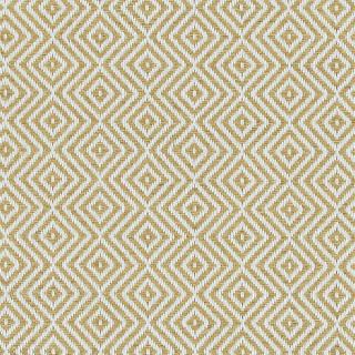 Custom Echo Sable, 100% UV Treated Polyester Area Rug