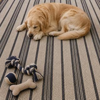 Custom Meridian Bark, 100% Sisal Area Rug