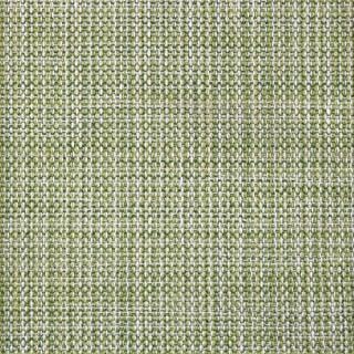 Custom Stanza Palermo Pesto, 100% Polypropylene Area Rug
