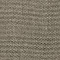 Zircon Drifting Taupe