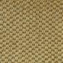 Vibrant Beachwood Custom Area Rug