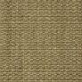 Everwood Sand Dollar Custom Area Rug